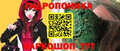 СК Новокубанск