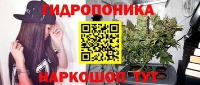 mix Новозыбков